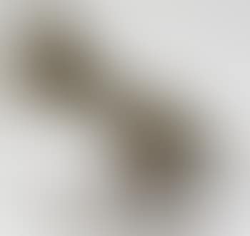 Poule paon (preview)