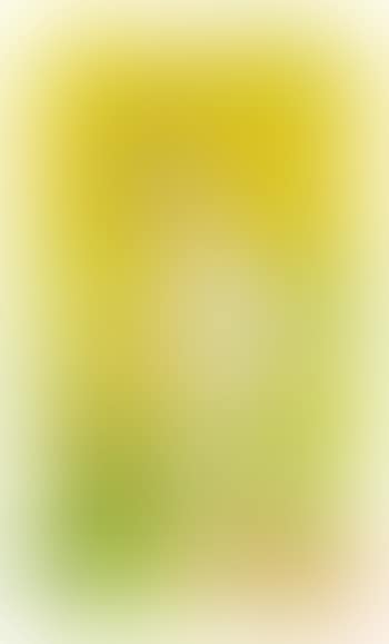 La Femme aux Roses Tremieres (preview)