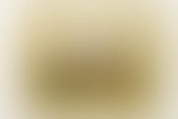 Cattle Landscape (preview)