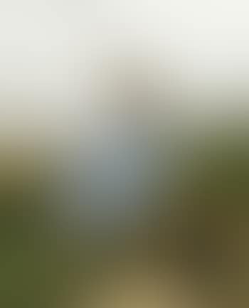 The little goatherd (preview)