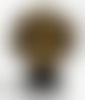 Ian (Ossian) (preview)
