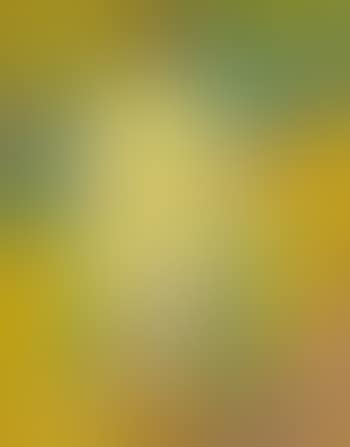Femme Assise Dans Un Jardin (preview)