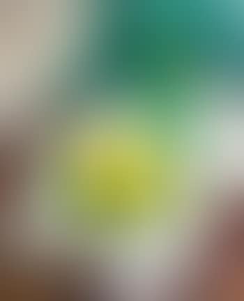 Nature Morte Aux Citrons (preview)