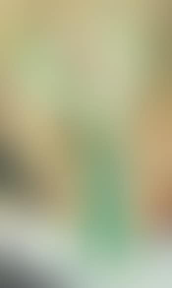 Vase De Fleurs (preview)