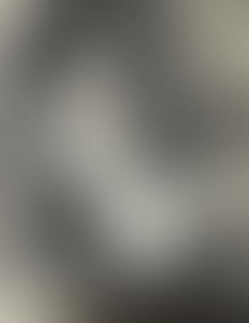 Six female nudes (preview)