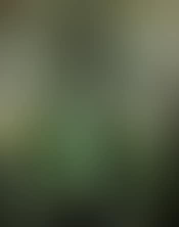 Portrait of a young boy (preview)