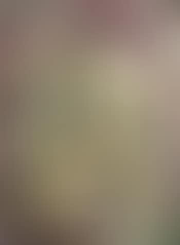 Nude Dance (preview)