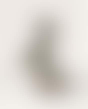 Ecstatic Series No. 6 (preview)