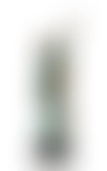 Venere con violino (preview)