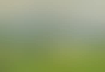 Summer foothills (preview)