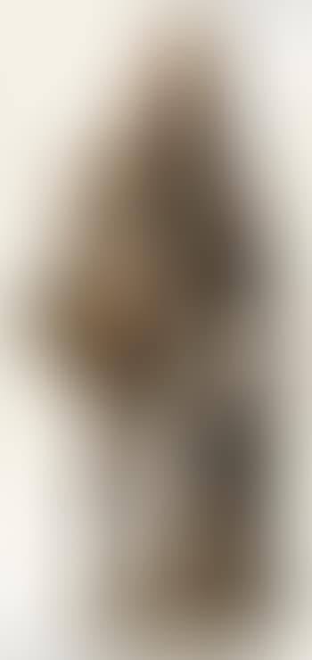 Christopher Columbus (preview)