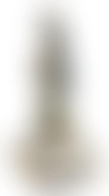 Libellule (preview)