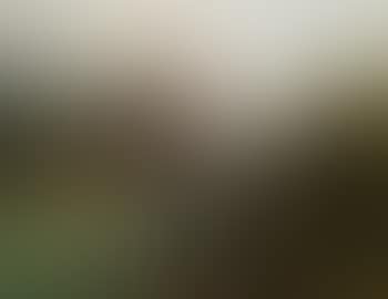 View of the Castel San Zeno near Merano (preview)