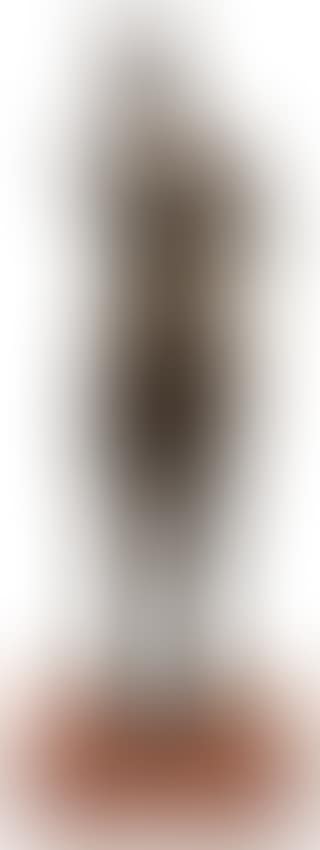 Figure looking skyward (preview)