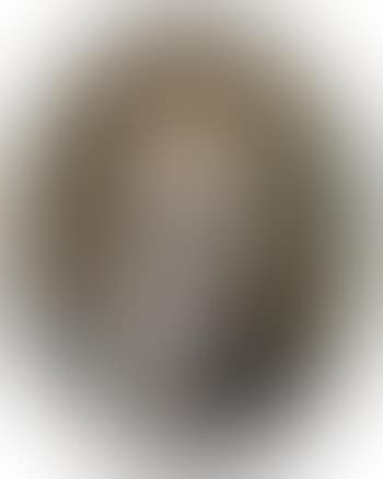 Portrait of a Noble Lady (preview)