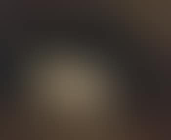 Portrait of a Hound in a Landscape (preview)
