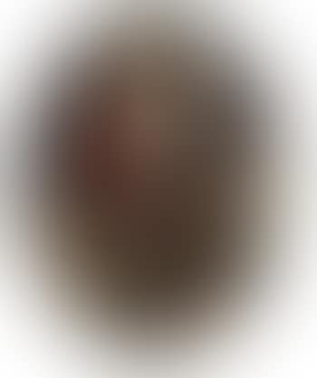 The Resurrected Christ (preview)