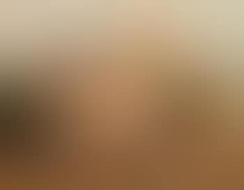 Two Pots and an Adobe Brick (preview)