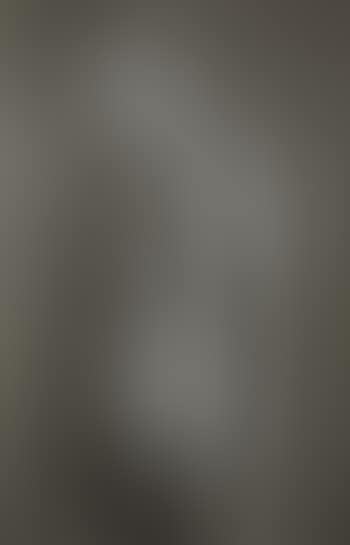 Untitled (Lee Nevin) (preview)