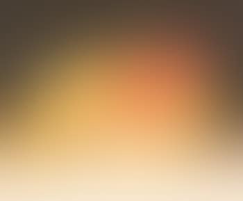 Cestino (preview)
