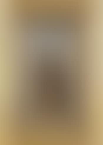 Portrait of a male cotton picker (preview)