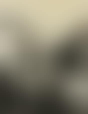 Sans Titre (preview)