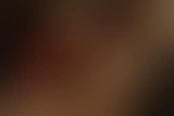 The Adoration of the Shepherds (preview)