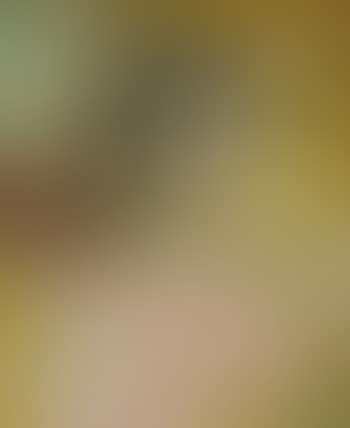 Portrait De Jeune Fille - Portrait Of a Young Lady (preview)