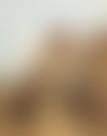 Personen (preview)