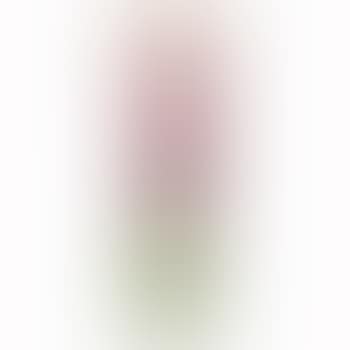 Flower Garden Vase (preview)