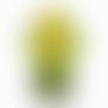Wild Orchid Vase (preview)