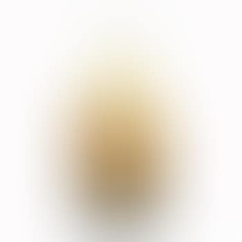 Mushroom Flacon (preview)