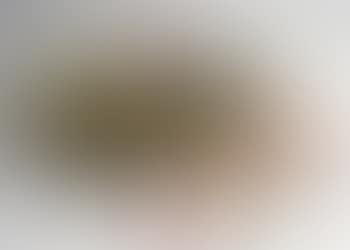 Pumpkins (Set Of Fifteen) (preview)