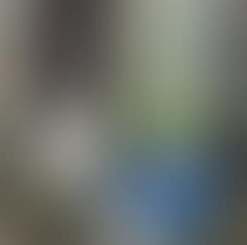 Still Life (preview)