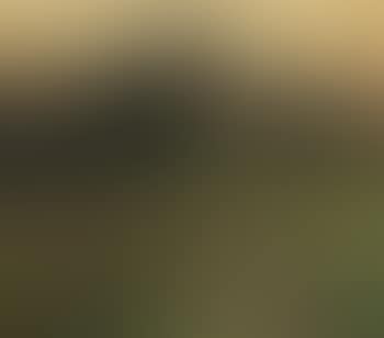 Ohne Titel (Weg im Brelinger Berg) (preview)