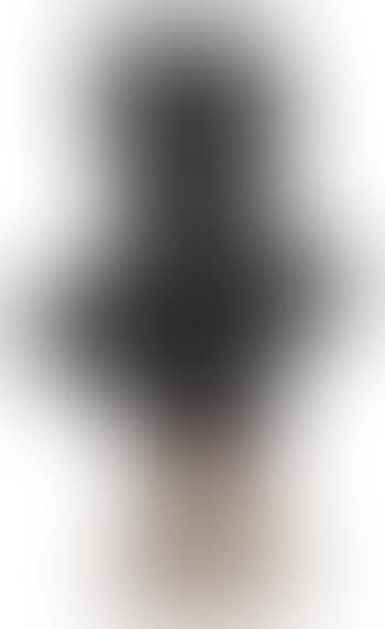 Bust of a gentleman, possibly Victor Hugo (preview)