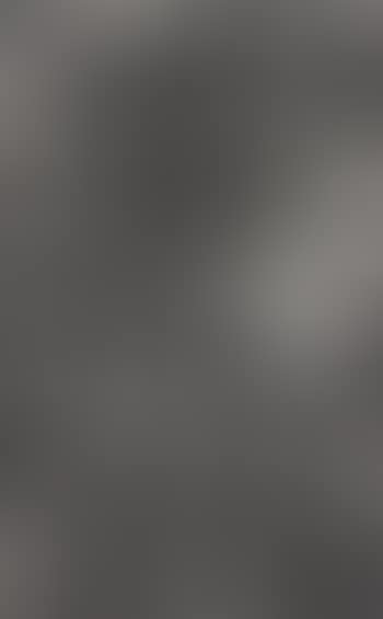 Picture Made by my Hand with the Assistance of Light (preview)