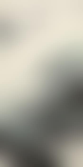 Landscape (preview)