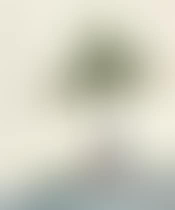 Character (preview)