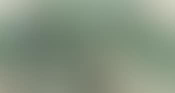 Landscape (preview)