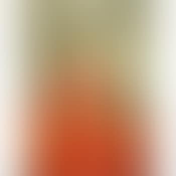 Gentildonna in rosso (preview)