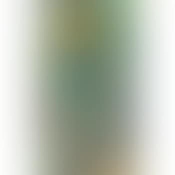 Paesaggio marino (preview)