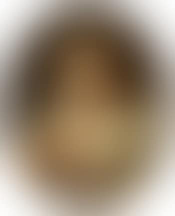 Portrait of a lady (preview)