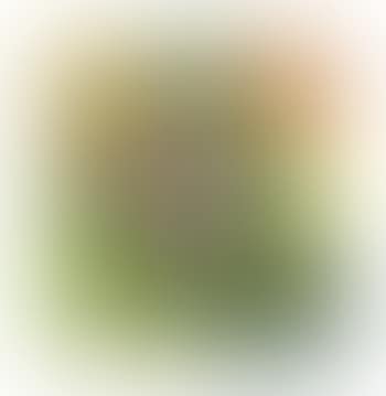 Aubergine III (Green) (preview)