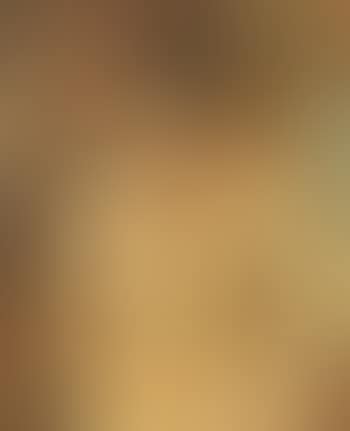 Seated Nude (preview)