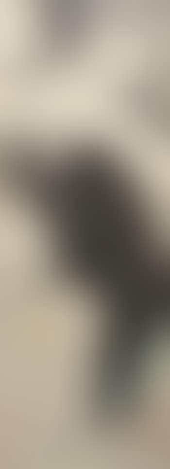 Bodhisattva (preview)