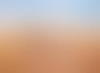 Dry creek bed, Alice Springs (preview)