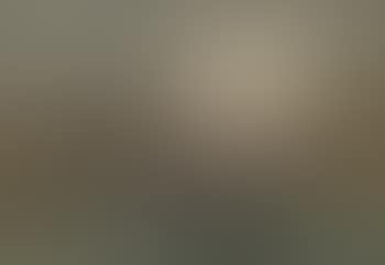 View of Lynmouth, Devonshire (preview)