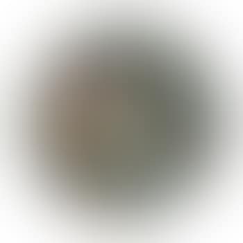 Paysage (preview)