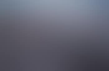 Vivaio (preview)